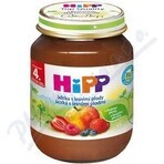 HiPP Supplément de fruits Pommes avec baies 1×125 g, supplément de fruits pour enfants