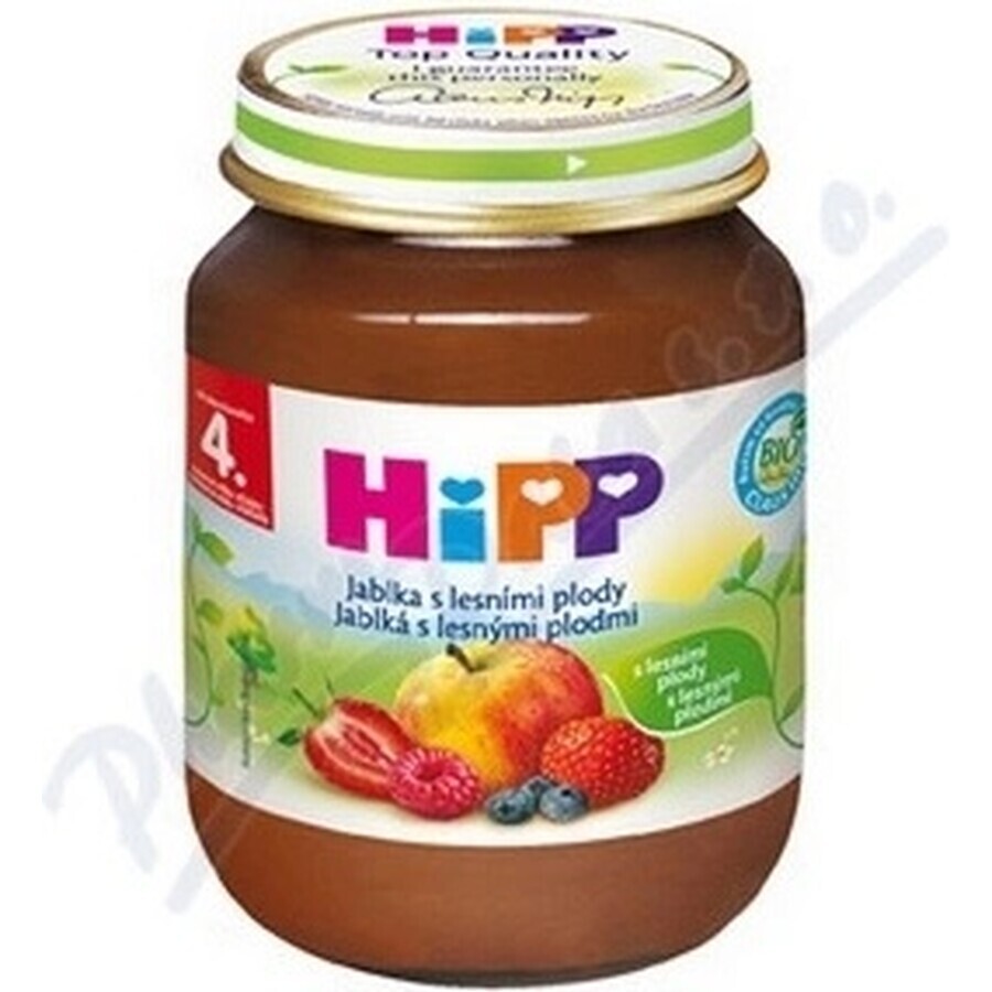 HiPP Supplément de fruits Pommes avec baies 1×125 g, supplément de fruits pour enfants