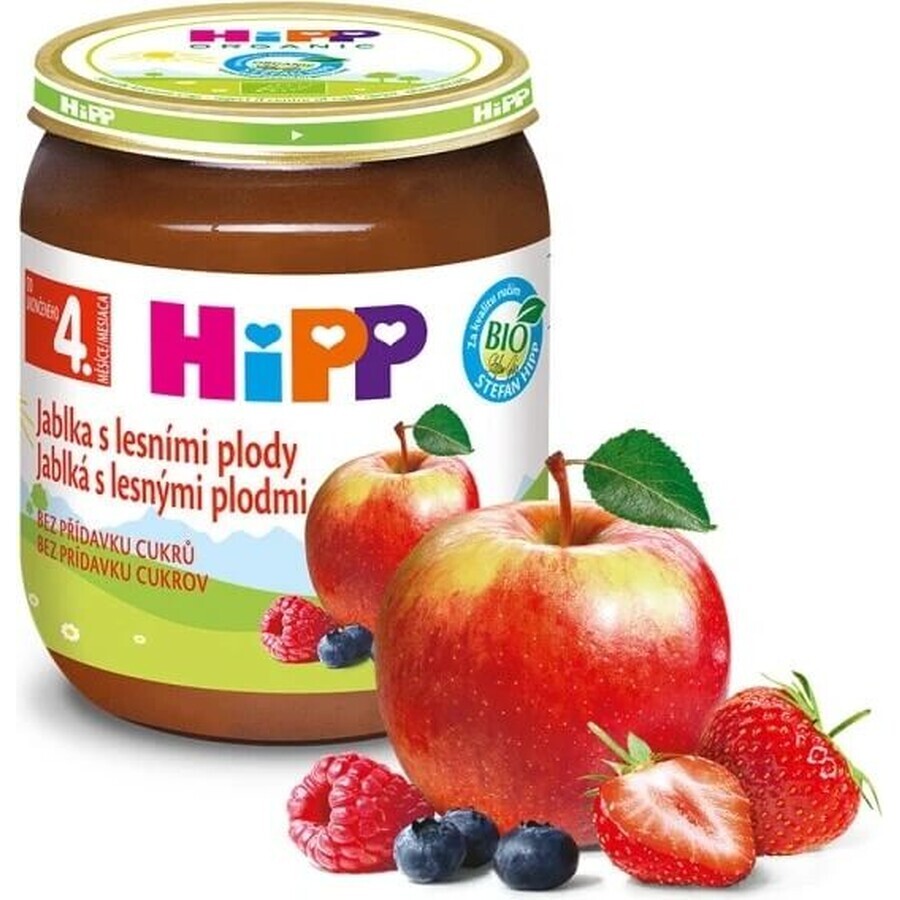 HiPP Supplément de fruits Pommes avec baies 1×125 g, supplément de fruits pour enfants