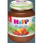 HiPP Supplément de fruits Pommes avec baies 1×125 g, supplément de fruits pour enfants