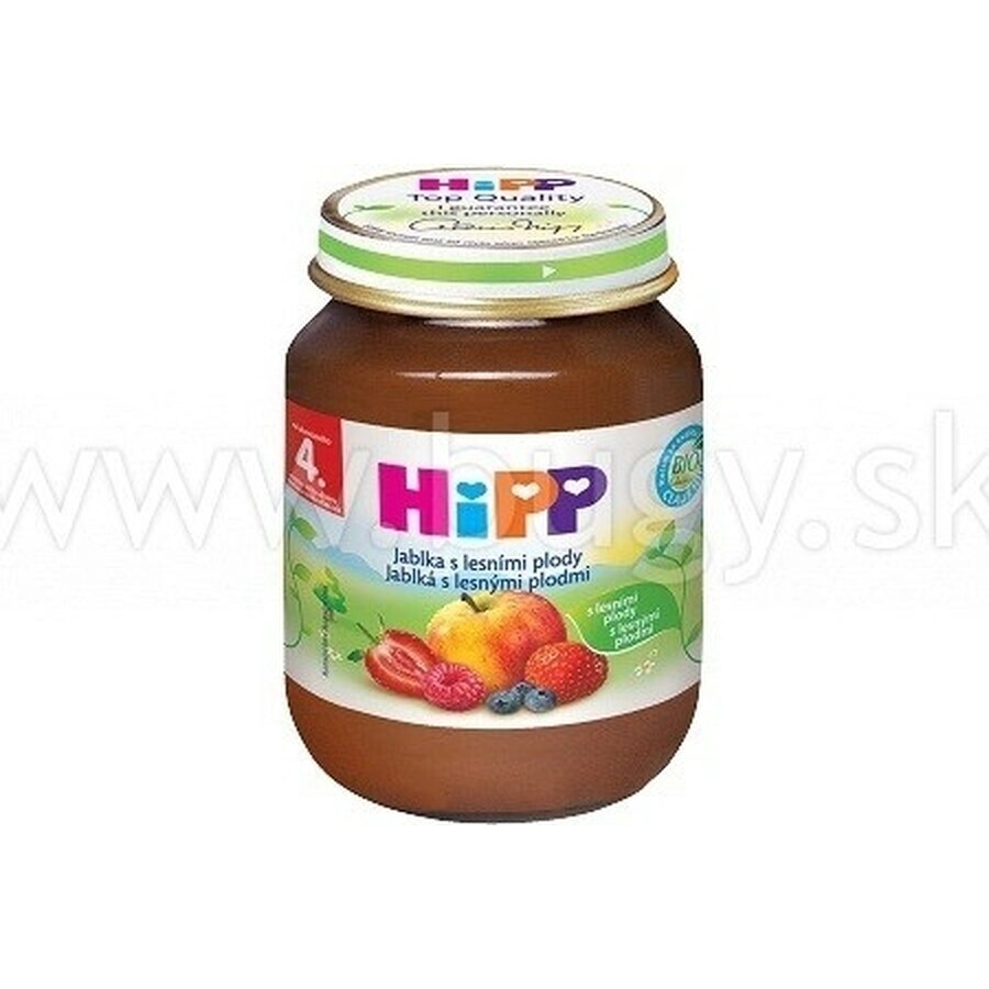 HiPP Supplément de fruits Pommes avec baies 1×125 g, supplément de fruits pour enfants