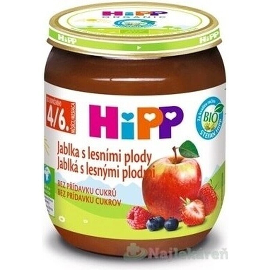 HiPP Supplément de fruits Pommes avec baies 1×125 g, supplément de fruits pour enfants