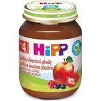 HiPP Supplément de fruits Pommes avec baies 1×125 g, supplément de fruits pour enfants