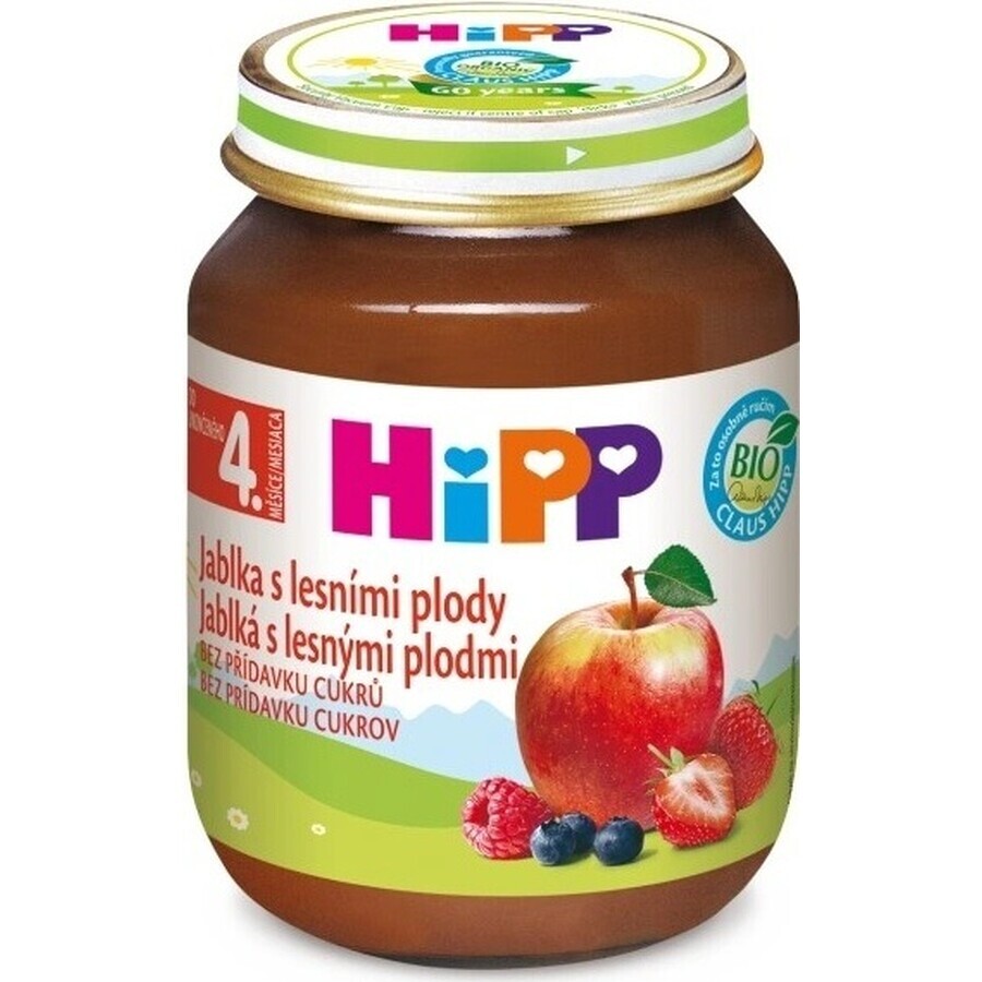 HiPP Supplément de fruits Pommes avec baies 1×125 g, supplément de fruits pour enfants