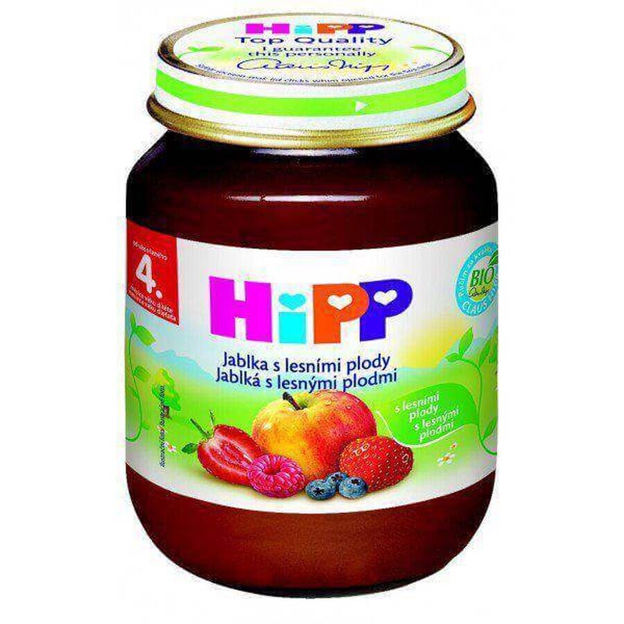 HiPP Supplément de fruits Pommes avec baies 1×125 g, supplément de fruits pour enfants