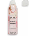 Revolution Haircare Volumen Trockenshampoo 1×1 St.