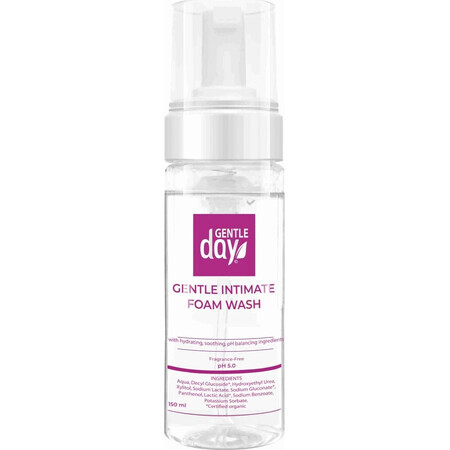 Gentle Day 1×150 ml Intimschaum