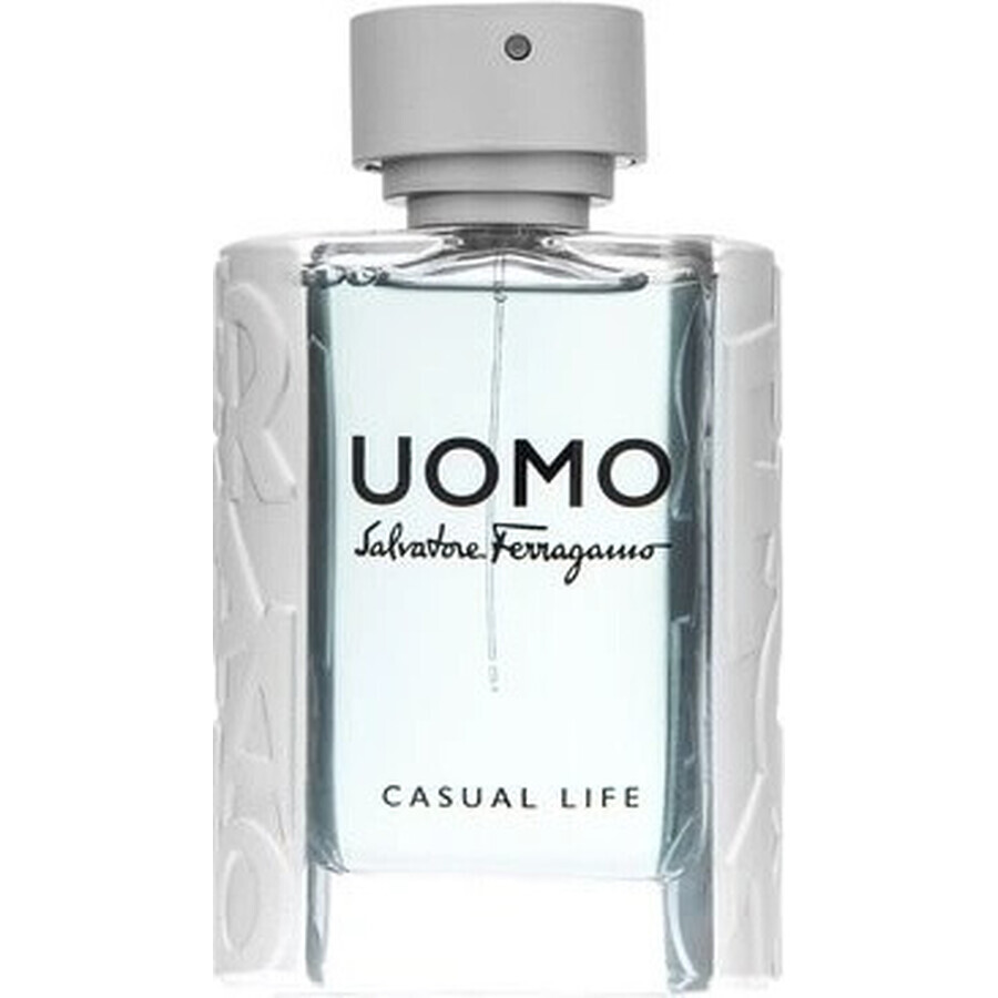 Salvatore Ferragamo Uomo Cl Edt 100ml 1×100 ml, Eau de Toilette