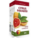 VIRDE CITRUS CITRUS PARADISI 1×50 ml, Grapefruit-Extrakt Tropfen