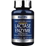 Scitec Nutrition Lactase Enzyme 1×100 cps, suplemento dietético