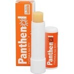 PANTHENOL PERY POMADA 4.4G DR.MULLER 1×1 buc, pentru buze uscate