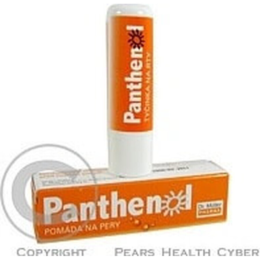 PANTHENOL PERY POMADA 4.4G DR.MULLER 1×1 buc, pentru buze uscate