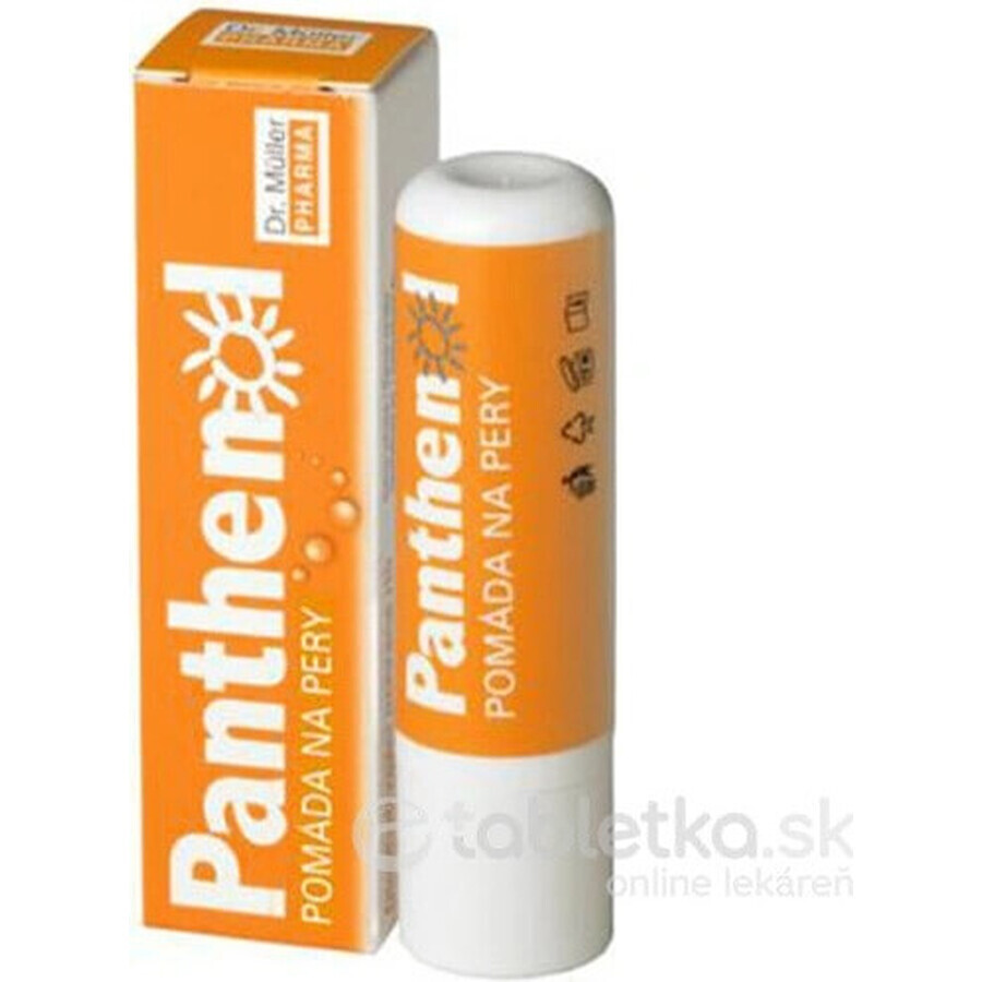 PANTHENOL PERY POMADA 4.4G DR.MULLER 1×1 buc, pentru buze uscate