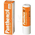 PANTHENOL PERY POMADA 4.4G DR.MULLER 1×1 buc, pentru buze uscate