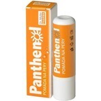 PANTHENOL PERY POMADA 4.4G DR.MULLER 1×1 buc, pentru buze uscate