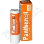 PANTHENOL PERY POMADA 4.4G DR.MULLER 1×1 buc, pentru buze uscate