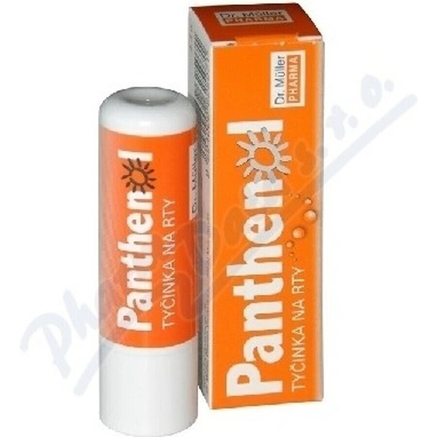 PANTHENOL PERY POMADA 4.4G DR.MULLER 1×1 buc, pentru buze uscate