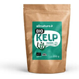 Allnature Kelp Bio-Pulver 100g 1×100g