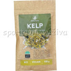 Allnature Kelp organic powder 100g 1×100g