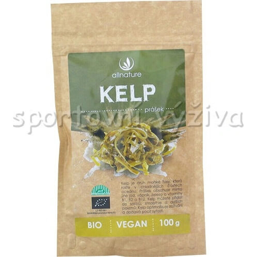 Allnature Kelp organic powder 100g 1×100g