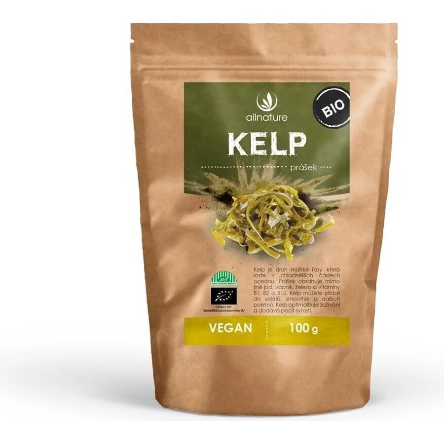 Allnature Kelp organic powder 100g 1×100g