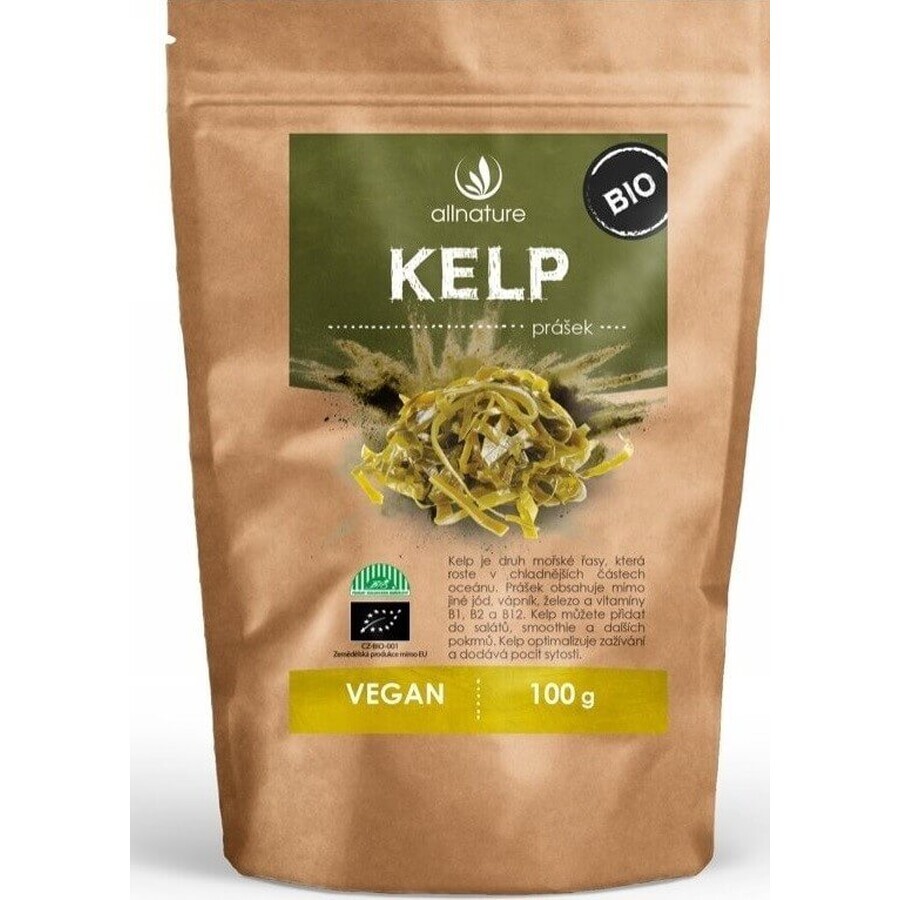 Allnature Kelp organic powder 100g 1×100g