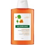 KLORANE ȘAMPON cu BIO peony 1×200ml, șampon pentru scalp sensibil și iritat