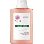 KLORANE ȘAMPON cu BIO peony 1×200ml, șampon pentru scalp sensibil și iritat