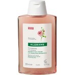 KLORANE ȘAMPON cu BIO peony 1×200ml, șampon pentru scalp sensibil și iritat