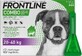 FRONTLINE COMBO spot-on spot-on for DOG L 3 x 2,68 ml 3x2,68 ml 3x2,68 ml, L&#246;sung f&#252;r Hunde