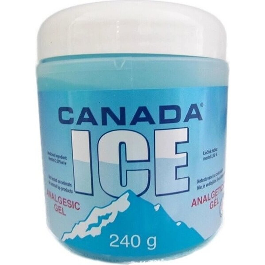 CANADA ICE GEL 1×240 ml, schmerzlindernd