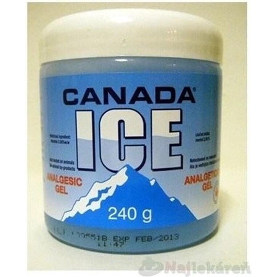 CANADA ICE GEL 1×240 ml, schmerzlindernd