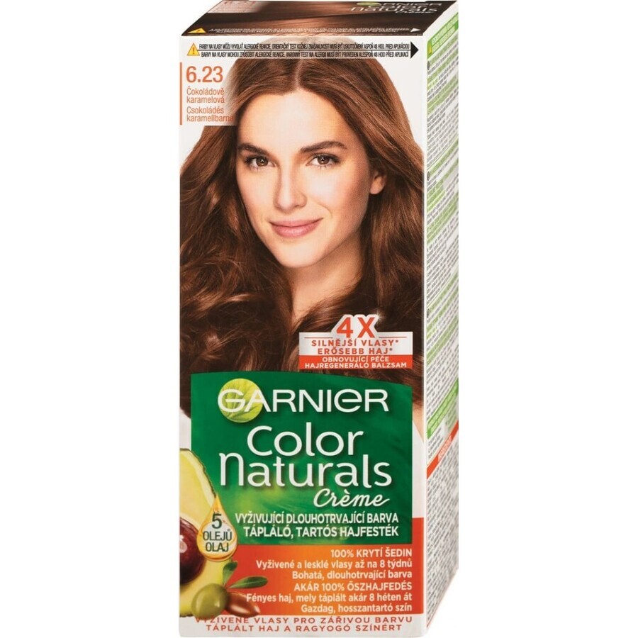 Garnier Color Naturals Dauerhafte Haarfarbe 6.23 Schoko-Karamell 1×1 Stück, Haarfarbe