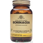 Solgar Echinacea Purpurea 100 Kapseln 1×100 tbl