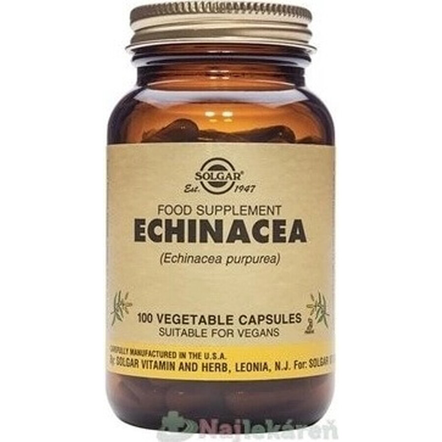 Solgar Echinacea Purpurea 100 Kapseln 1×100 tbl