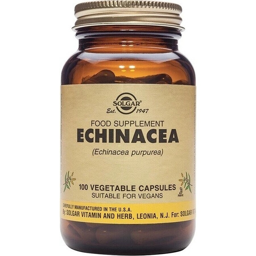 Solgar Echinacea Purpurea 100 Kapseln 1×100 tbl