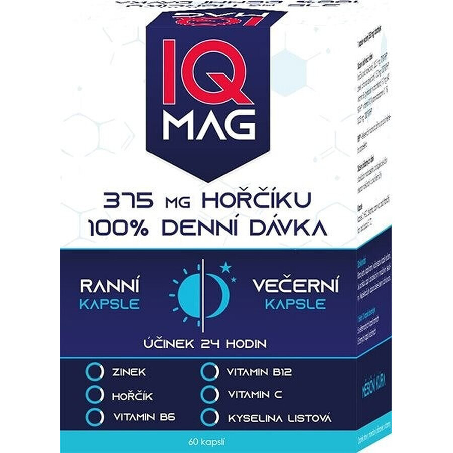 IQ MAG Magnesium morgens und abends 1×60 cps, Nahrungsergänzungsmittel