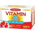 TEREZIA Vitamine D3 2000 IU 1×90 tbl, voedingssupplement