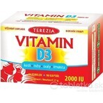 TEREZIA Vitamine D3 2000 IU 1×90 tbl, voedingssupplement