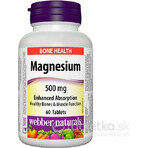 WEBBER NATURALS Magnesium 150 mg 1×60 tbl, Nahrungsergänzungsmittel