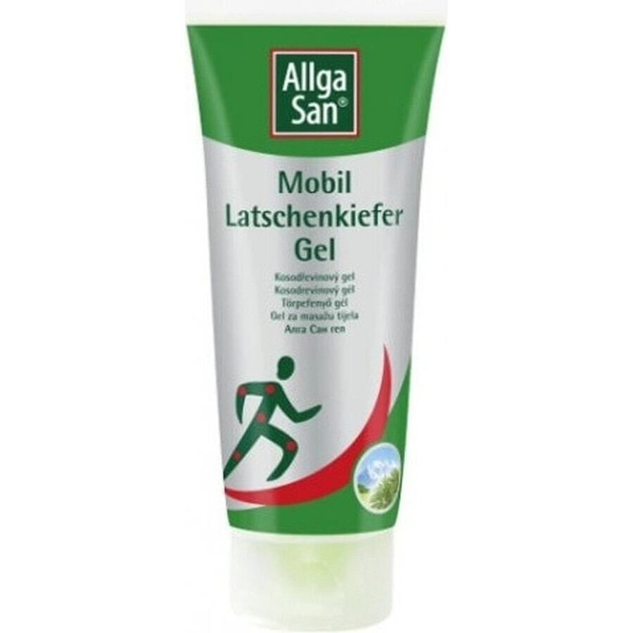 Allga San Arnika-Gel 1×100 ml, entzündungshemmendes Gel