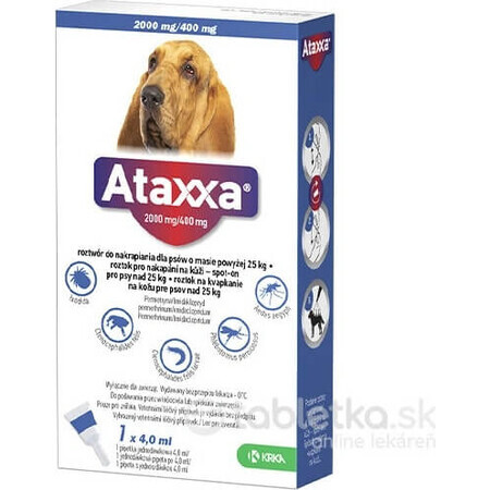 Ataxxa 2000 mg/400 mg (Hunde über 25 kg) 1×4 ml, Lösung für Hunde