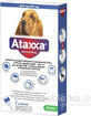 Ataxxa 2000 mg/400 mg (Hunde &#252;ber 25 kg) 1&#215;4 ml, L&#246;sung f&#252;r Hunde