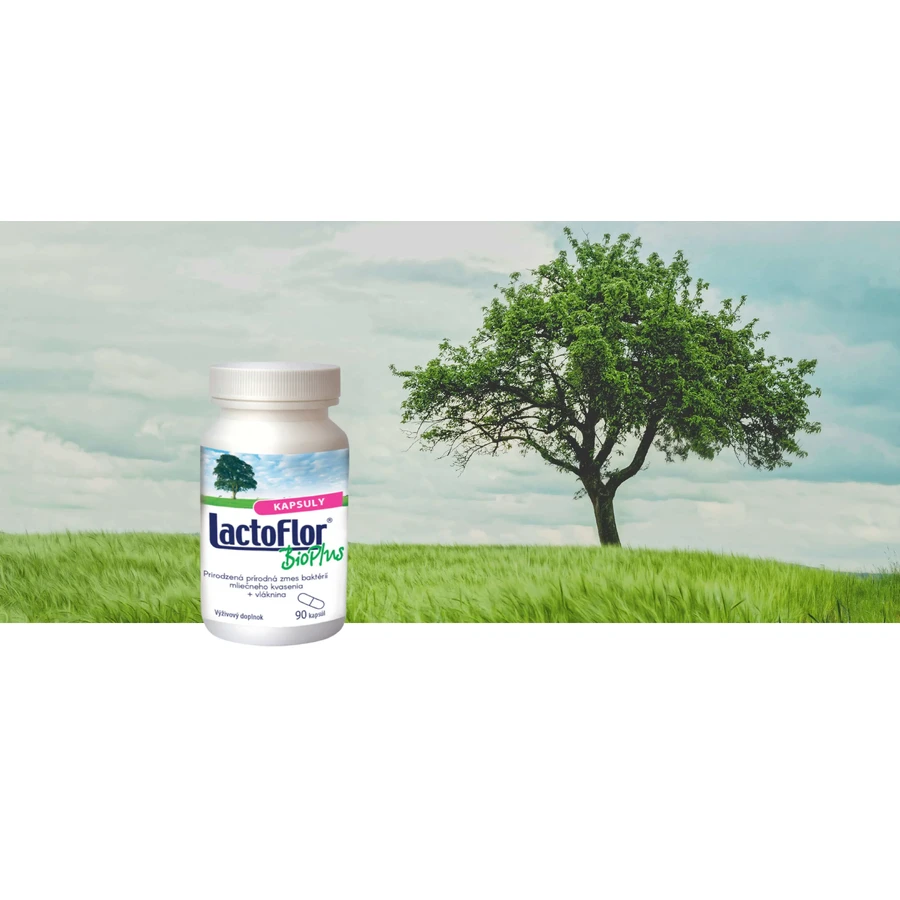 LactoFlor BioPlus 1×90 cps, Nahrungsergänzungsmittel