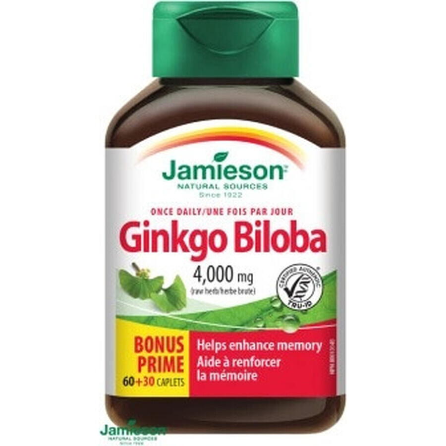 JAMIESON GINKGO BILOBA 1×90 tbl, ginkgo