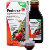 SALUS Protecor Active Heart Herbal Tonic 1x250 ml