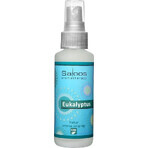 SALOOS Deodorante per ambienti Eucalipto 1×50 ml aroma Eucalipto Spray per l'aria