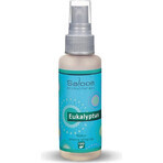 SALOOS Deodorante per ambienti Eucalipto 1×50 ml aroma Eucalipto Spray per l'aria