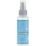 SALOOS Deodorante per ambienti Eucalipto 1×50 ml aroma Eucalipto Spray per l'aria