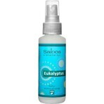 SALOOS Deodorante per ambienti Eucalipto 1×50 ml aroma Eucalipto Spray per l'aria